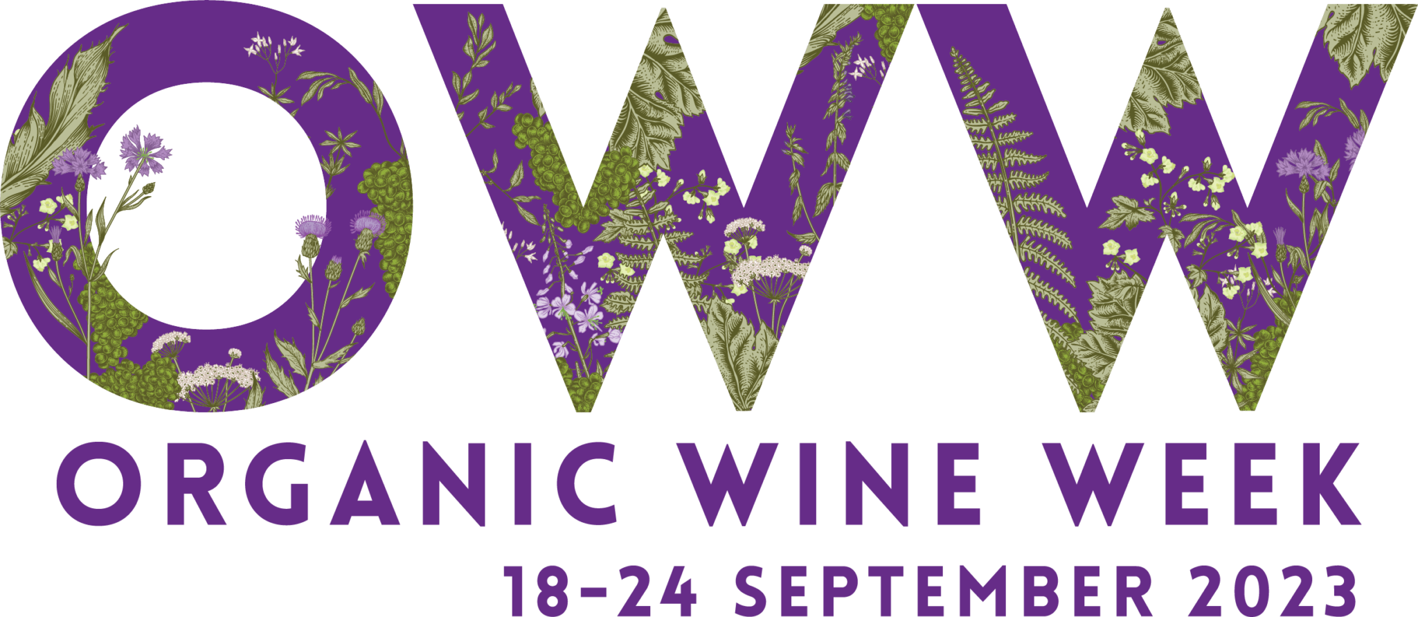 Celebrate Organic Wine Week – All Year! – Premium Mixed 6 Pack