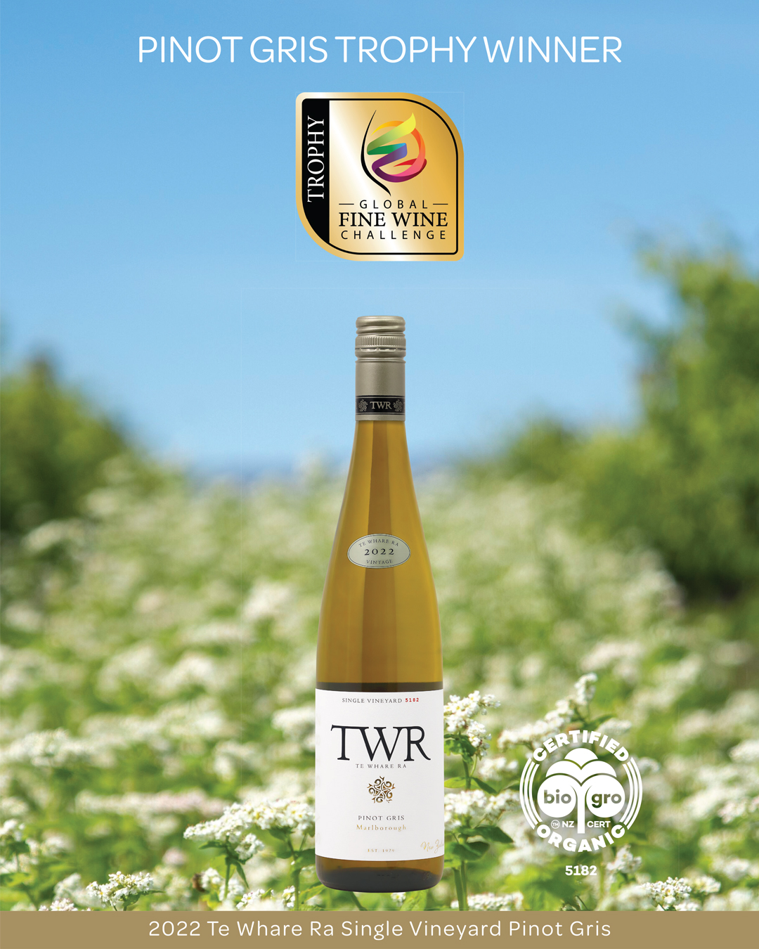 2022 SV Pinot Gris 6 Pack Special