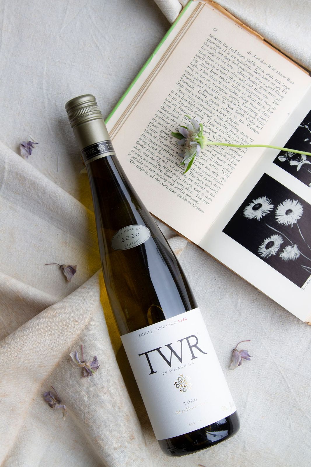 Toru Time – six pack special